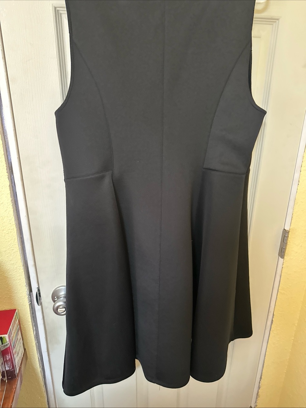 Wilson Black Sleeveless A-Line Mini Dress